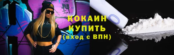 сатива Богданович
