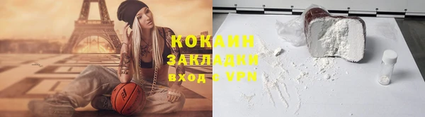 сатива Богданович