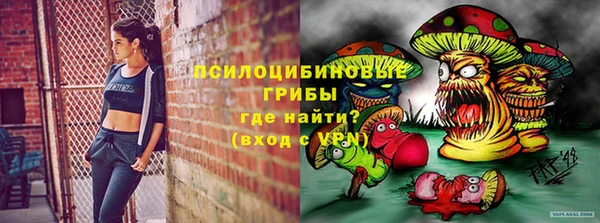 ешки Богородск
