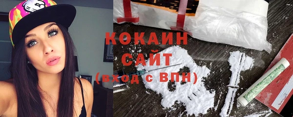 apvp Богородицк
