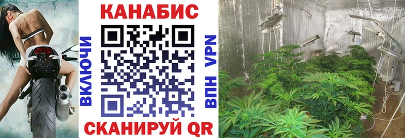 Канабис THC 21%  где можно купить   Екатеринбург 
